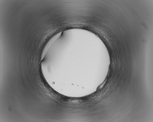 X0000110690407200907101153