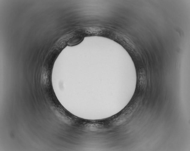 X0000110690408200907101153