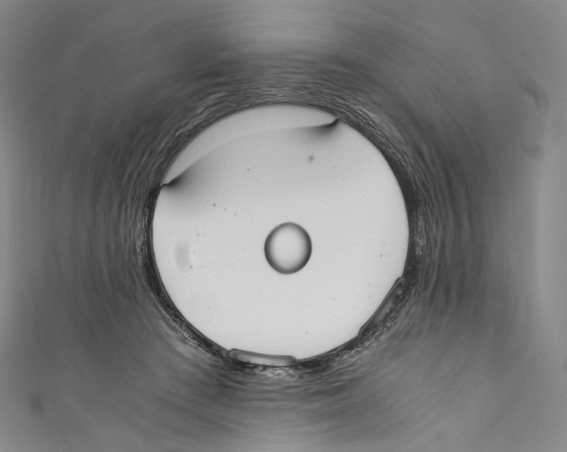 X0000110690409200907101153