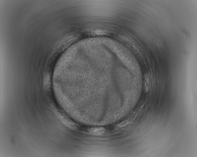 X0000110690410200907101153