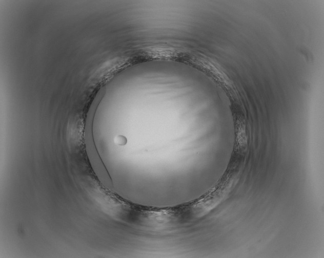 X0000110690411200907101153