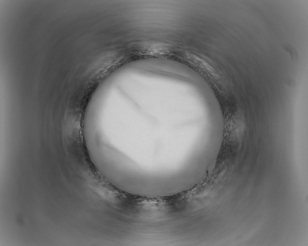 X0000110690415200907101153