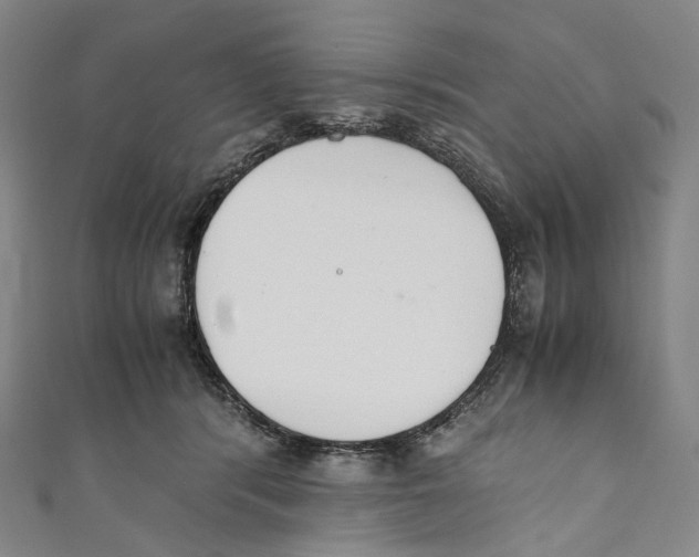 X0000110690416200907101153