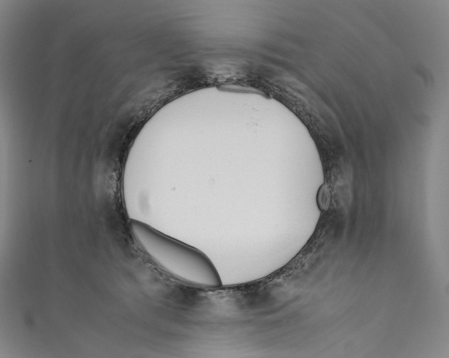 X0000110690417200907101153