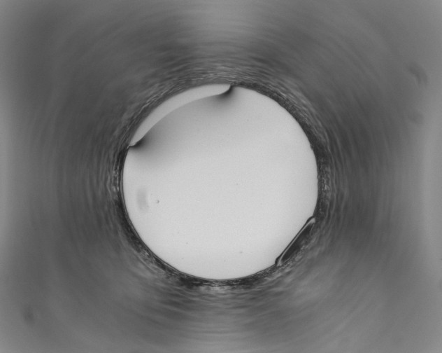 X0000110690419200907101153