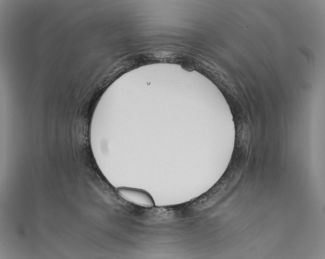 X0000110690421200907101153