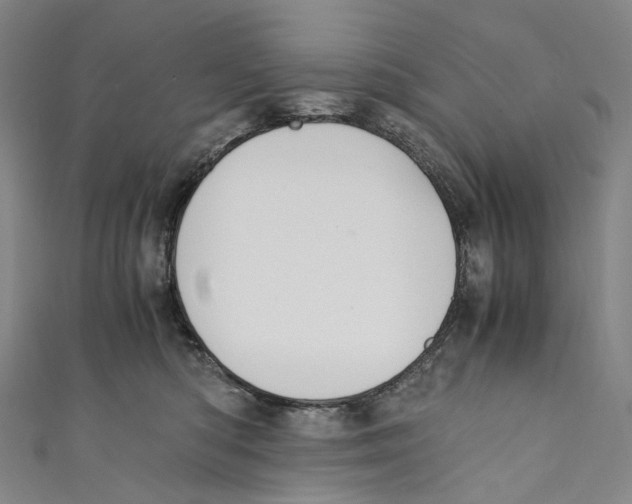 X0000110690422200907101153