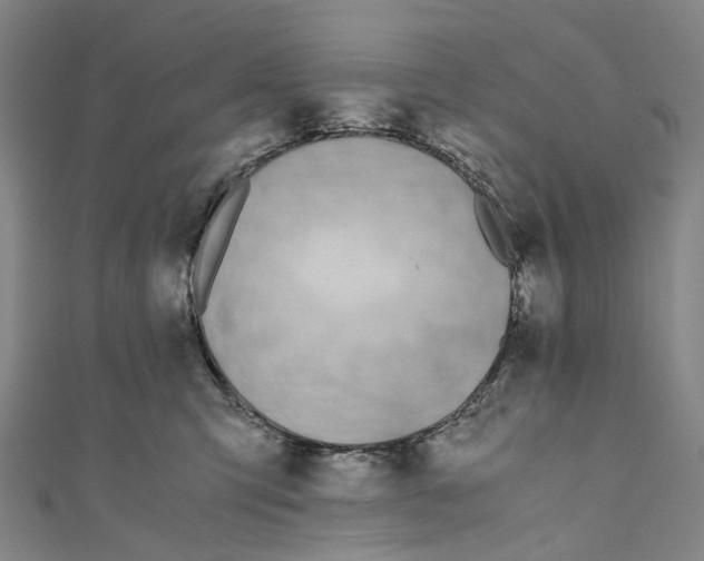 X0000110690423200907101153