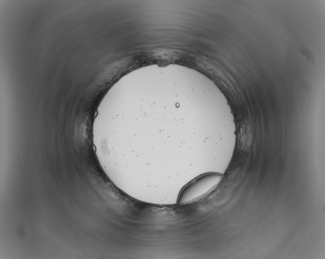 X0000110690424200907101153