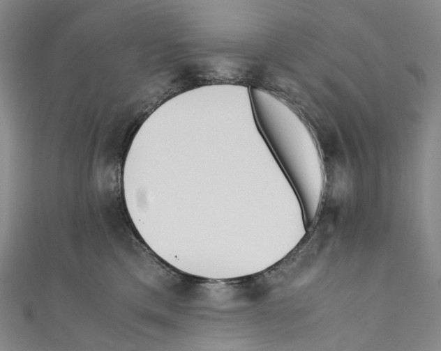 X0000110690425200907101153