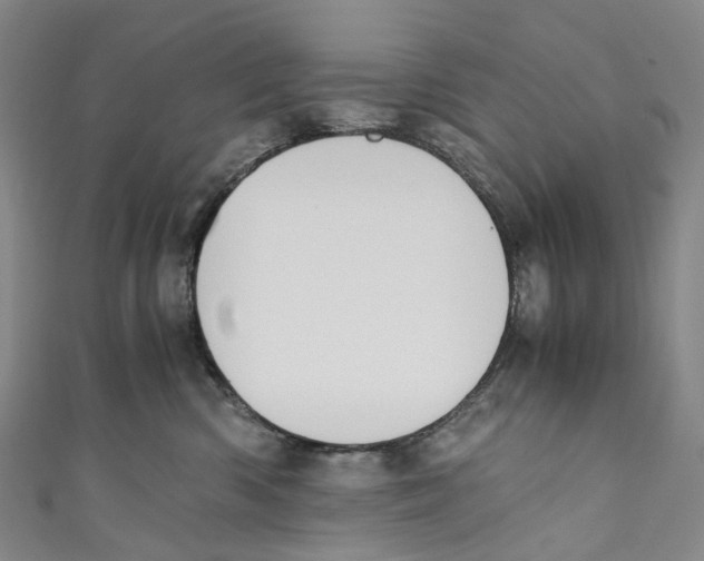 X0000110690426200907101153