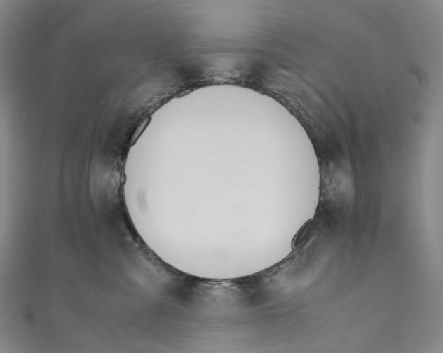 X0000110690427200907101153