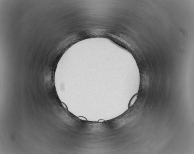 X0000110690428200907101153