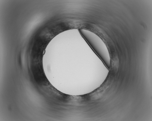 X0000110690429200907101152