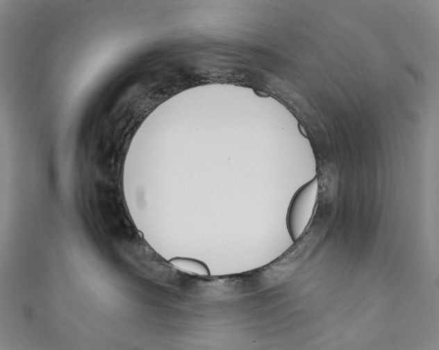 X0000110690430200907101152