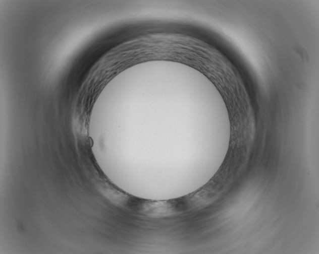 X0000110690431200907101152