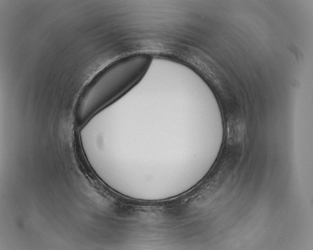 X0000110690436200907101152