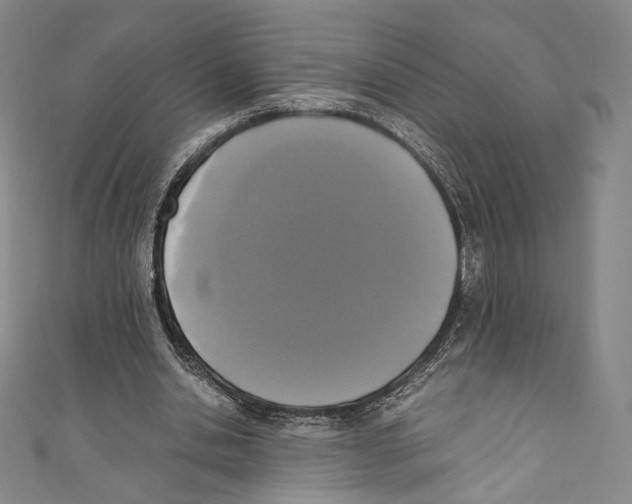 X0000110690438200907101152