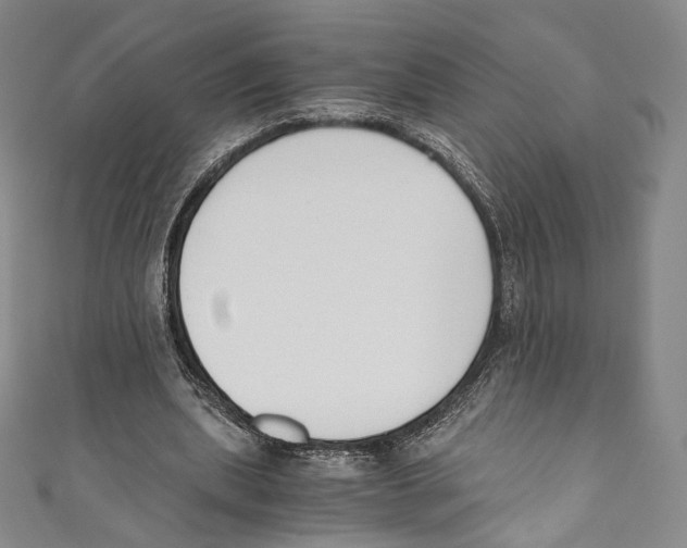 X0000110690439200907101152