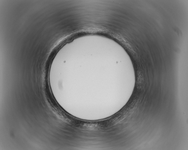 X0000110690440200907101152