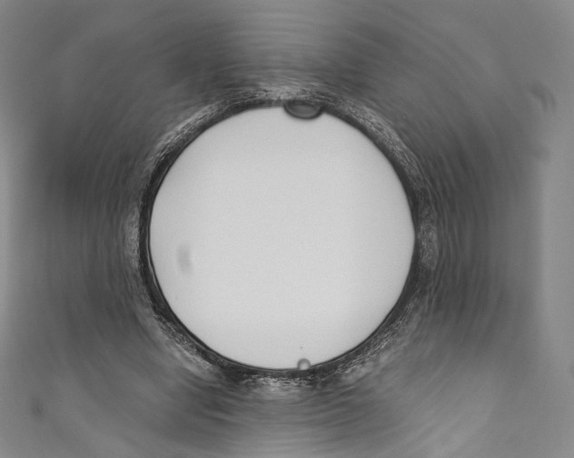 X0000110690442200907101152