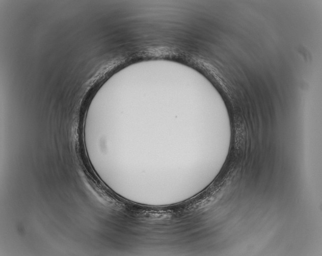 X0000110690443200907101152