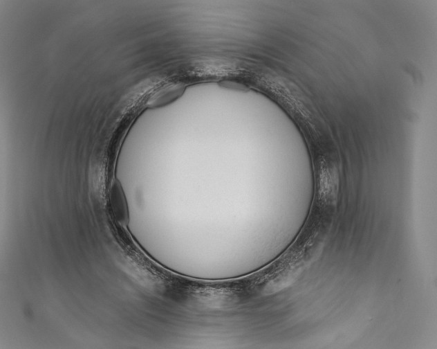 X0000110690444200907101152