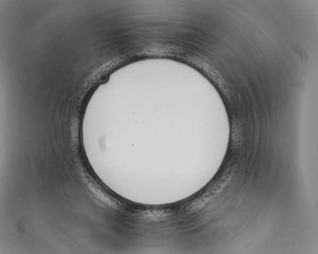 X0000110690445200907101152