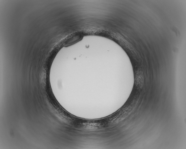 X0000110690448200907101152