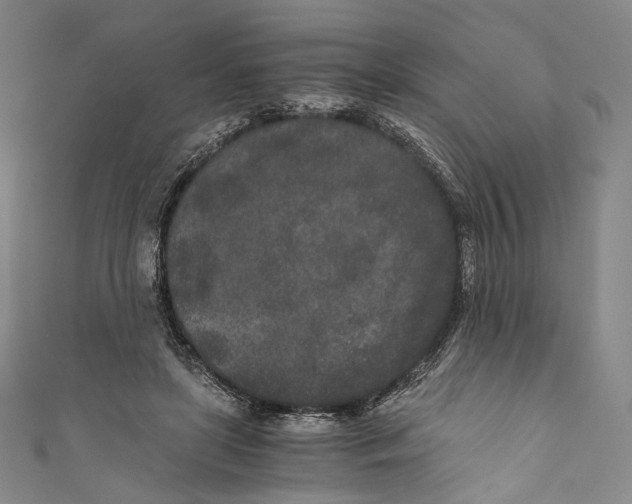 X0000110690451200907101152