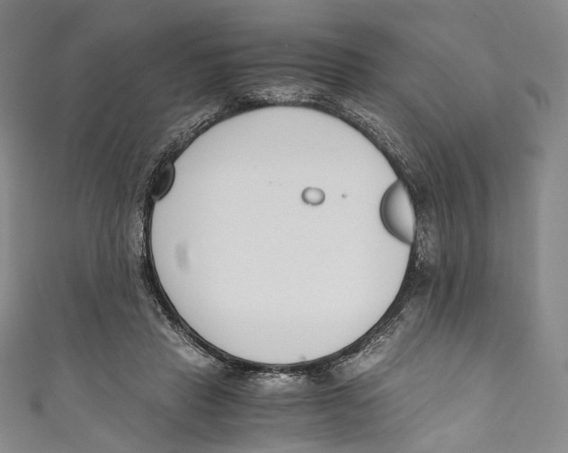 X0000110690453200907101152