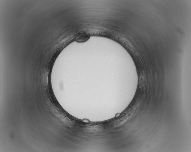 X0000110690454200907101152