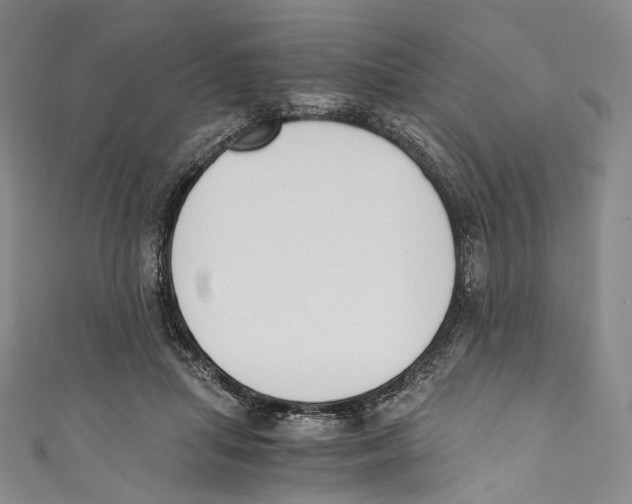 X0000110690455200907101152