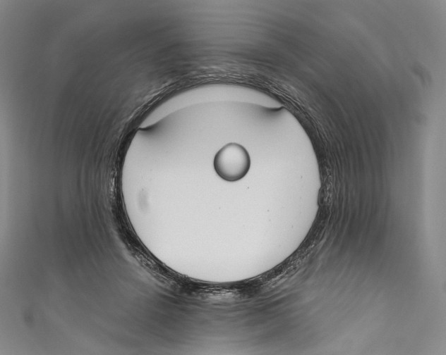 X0000110690456200907101152