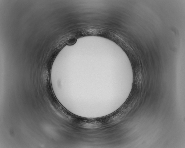 X0000110690459200907101152