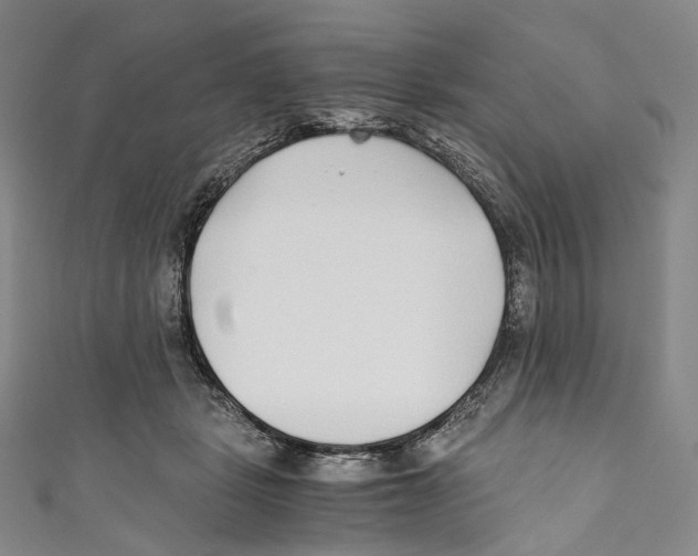 X0000110690461200907101152