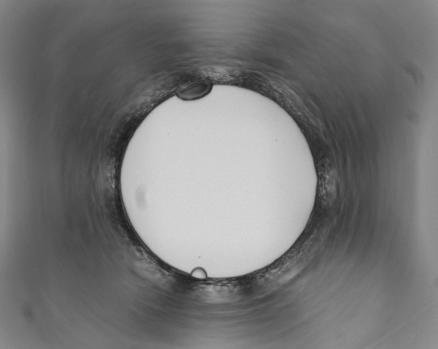 X0000110690466200907101152