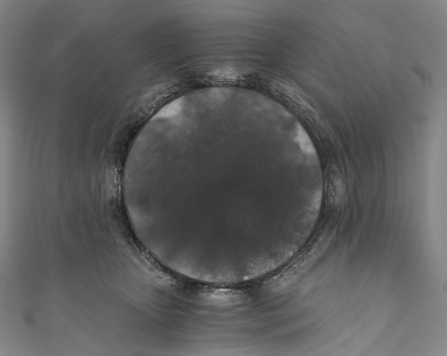 X0000110690467200907101152