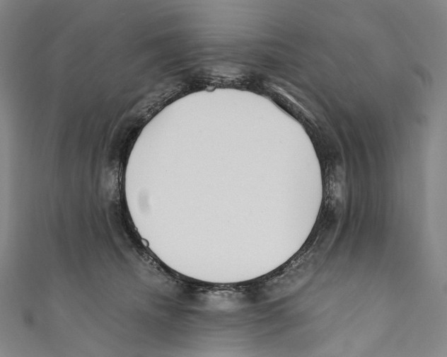 X0000110690468200907101152