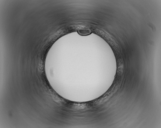 X0000110690469200907101152