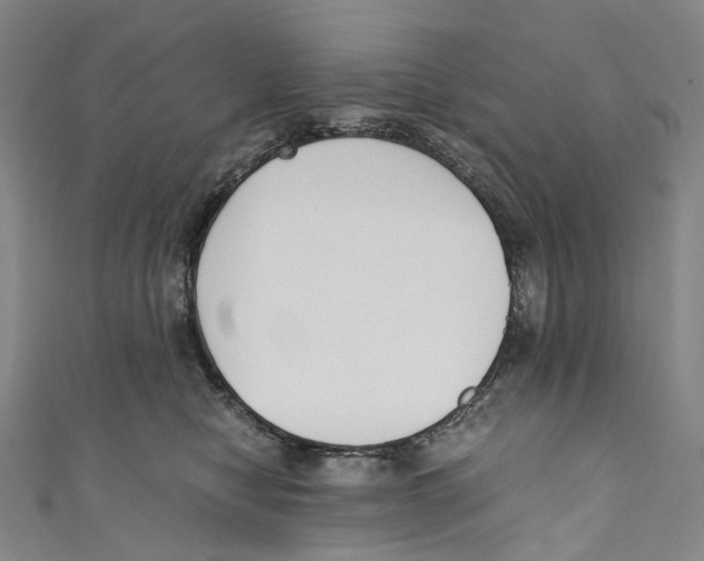 X0000110690470200907101152