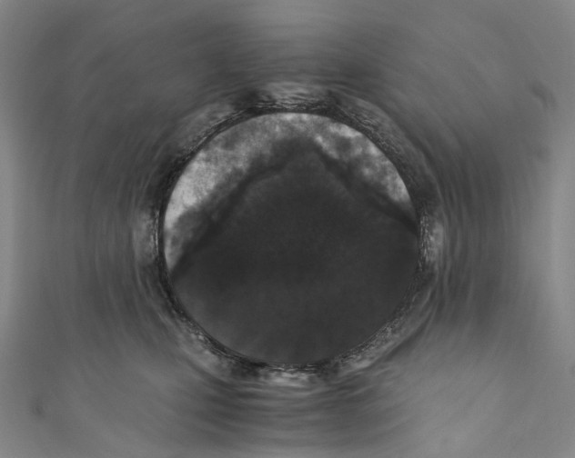 X0000110690471200907101152