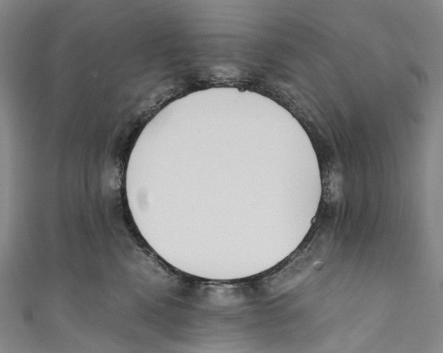 X0000110690472200907101152