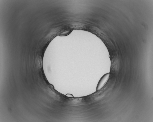 X0000110690474200907101152