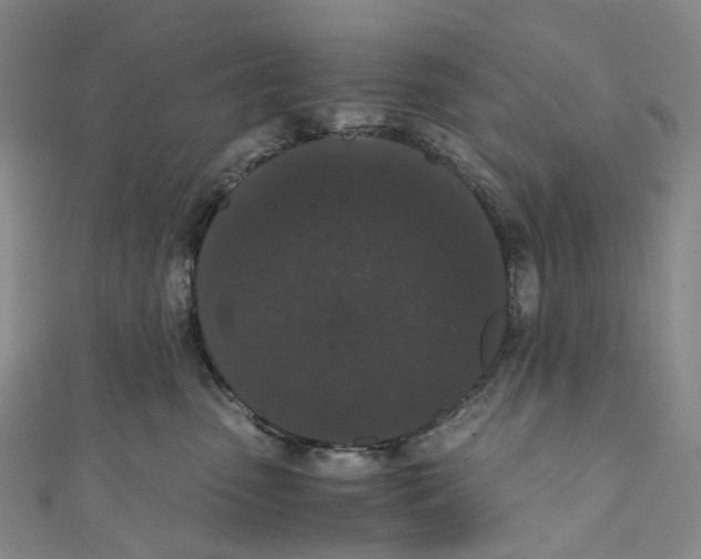 X0000110690475200907101152