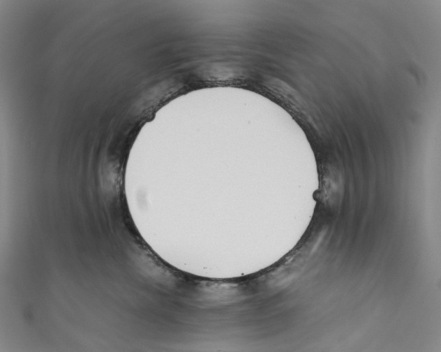 X0000110690476200907101152