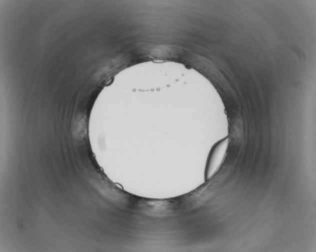 X0000110690478200907101152