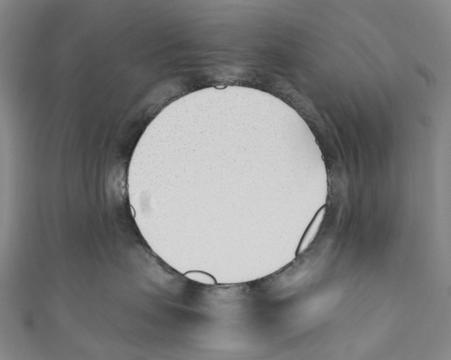 X0000110690479200907101152