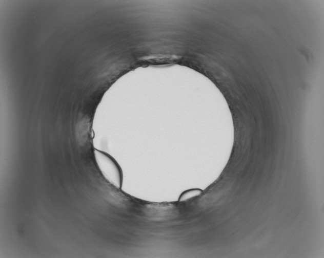 X0000110690480200907101152