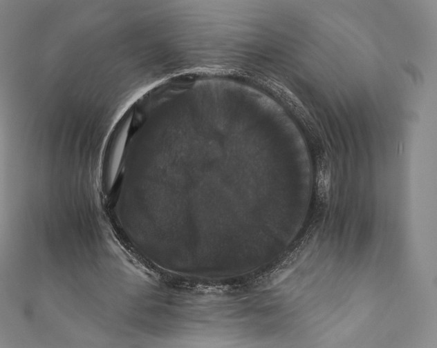 X0000110690484200907101152